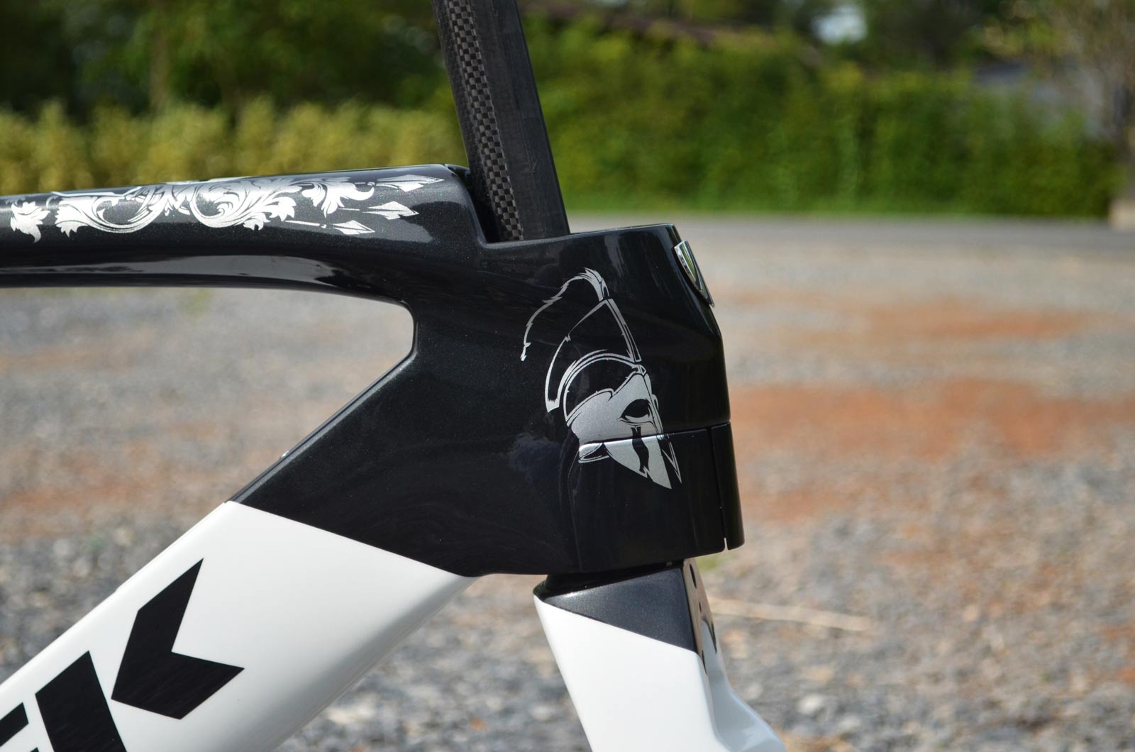 มุมมองภาพเฟรม 8