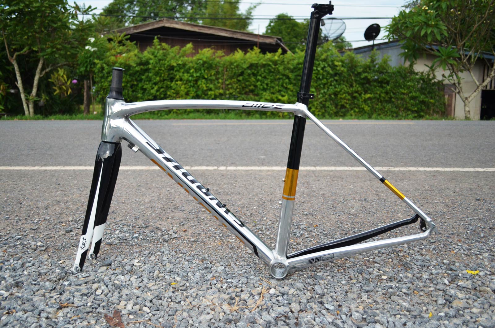 มุมมองภาพเฟรม 4