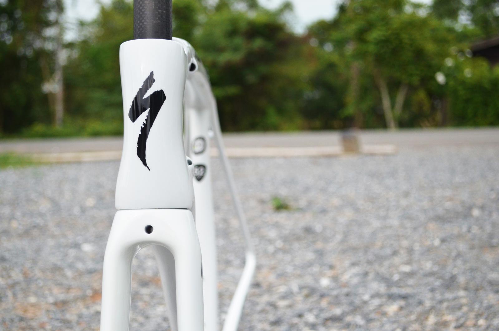 มุมมองภาพเฟรม 2