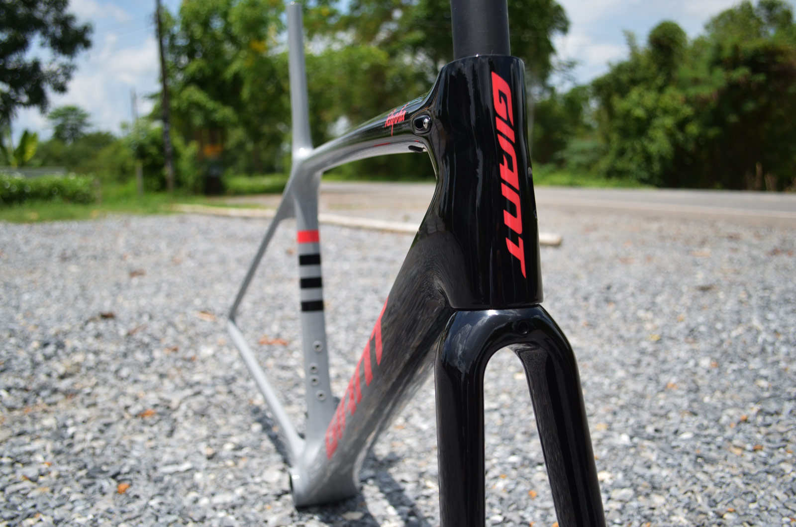 มุมมองภาพเฟรม 1