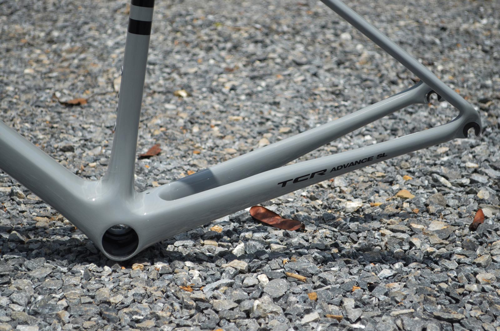 มุมมองภาพเฟรม 8